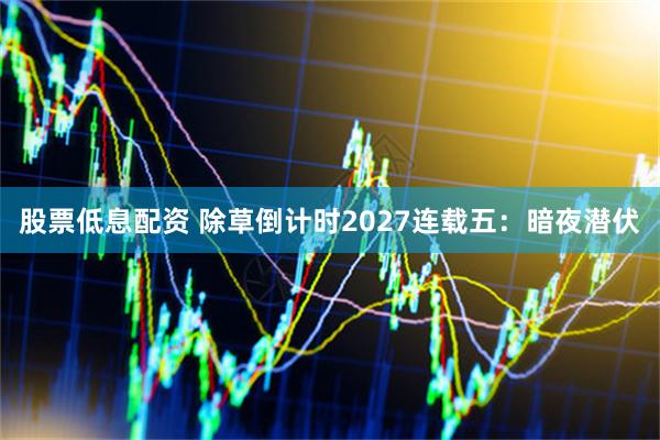 股票低息配资 除草倒计时2027连载五：暗夜潜伏